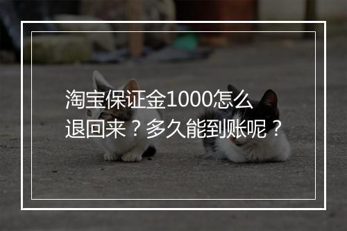 淘宝保证金1000怎么退回来？多久能到账呢？