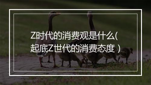 Z时代的消费观是什么(起底Z世代的消费态度）