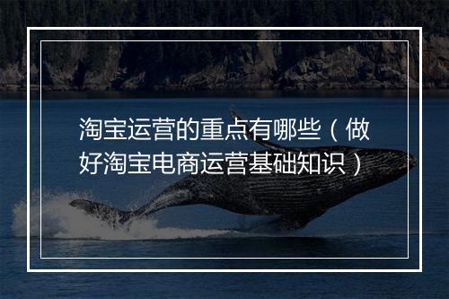 淘宝运营的重点有哪些（做好淘宝电商运营基础知识）