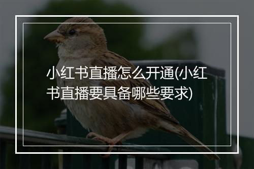 小红书直播怎么开通(小红书直播要具备哪些要求)