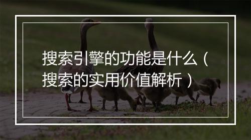搜索引擎的功能是什么（搜索的实用价值解析）