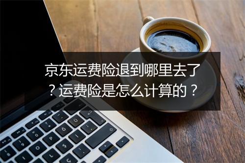 京东运费险退到哪里去了？运费险是怎么计算的？