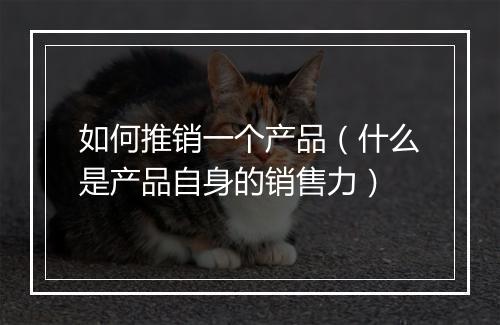 如何推销一个产品（什么是产品自身的销售力）