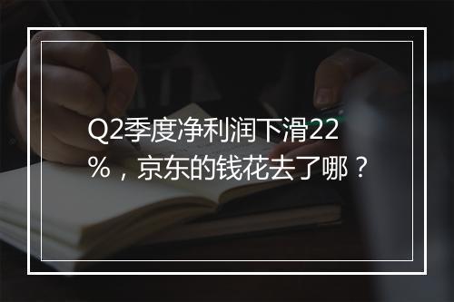 Q2季度净利润下滑22%，京东的钱花去了哪？