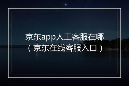 京东app人工客服在哪（京东在线客服入口）