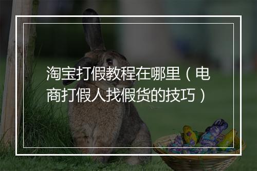 淘宝打假教程在哪里（电商打假人找假货的技巧）