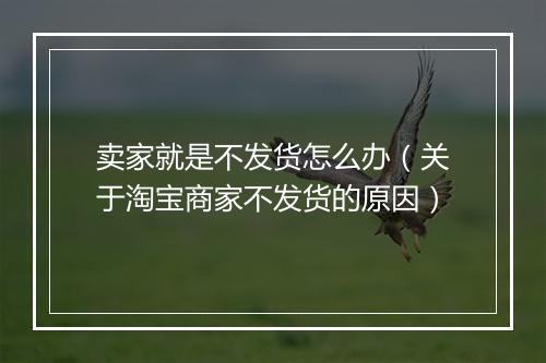 卖家就是不发货怎么办（关于淘宝商家不发货的原因）