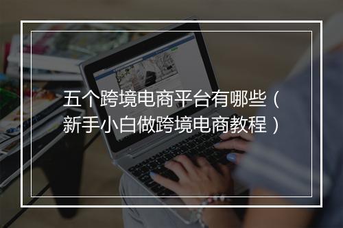 五个跨境电商平台有哪些（新手小白做跨境电商教程）