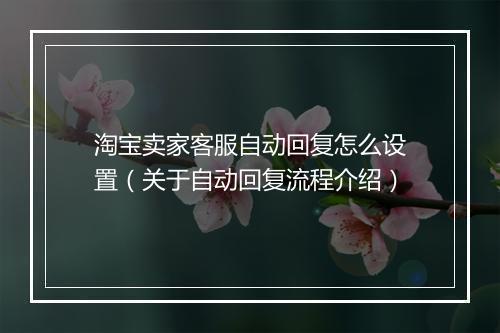 淘宝卖家客服自动回复怎么设置（关于自动回复流程介绍）