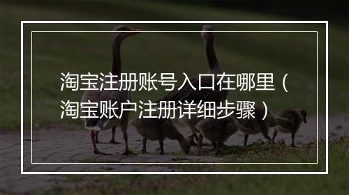 淘宝注册账号入口在哪里（淘宝账户注册详细步骤）