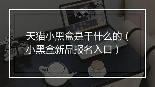 天猫小黑盒是干什么的（小黑盒新品报名入口）