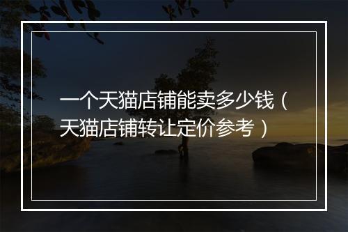 一个天猫店铺能卖多少钱（天猫店铺转让定价参考）