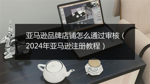 亚马逊品牌店铺怎么通过审核（2024年亚马逊注册教程）