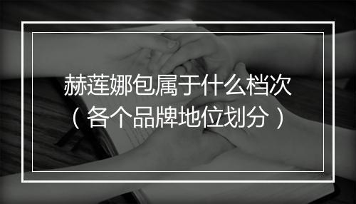 赫莲娜包属于什么档次（各个品牌地位划分）