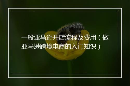 一般亚马逊开店流程及费用（做亚马逊跨境电商的入门知识）