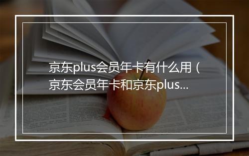 京东plus会员年卡有什么用（京东会员年卡和京东plus的区别）