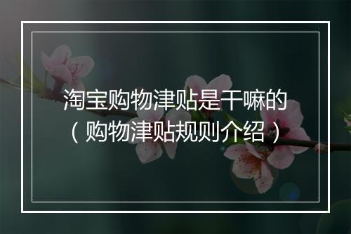 淘宝购物津贴是干嘛的（购物津贴规则介绍）