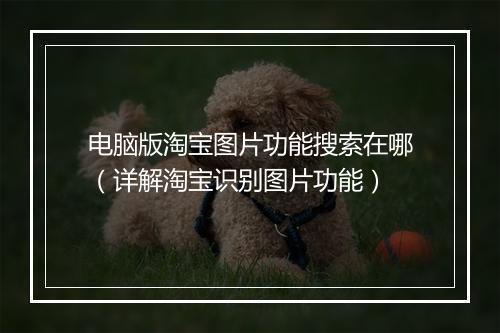 电脑版淘宝图片功能搜索在哪（详解淘宝识别图片功能）