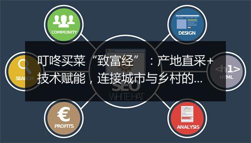 叮咚买菜“致富经”：产地直采+技术赋能，连接城市与乡村的温暖之路