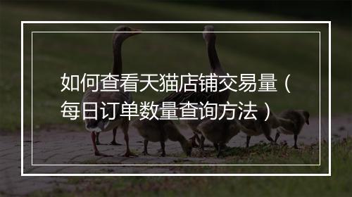如何查看天猫店铺交易量（每日订单数量查询方法）