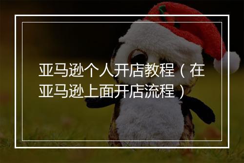 亚马逊个人开店教程（在亚马逊上面开店流程）