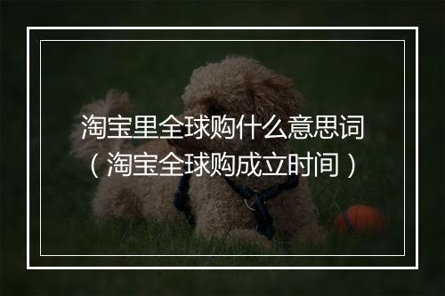淘宝里全球购什么意思词（淘宝全球购成立时间）