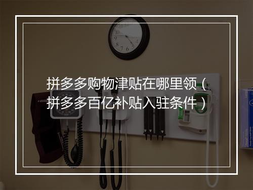 拼多多购物津贴在哪里领（拼多多百亿补贴入驻条件）