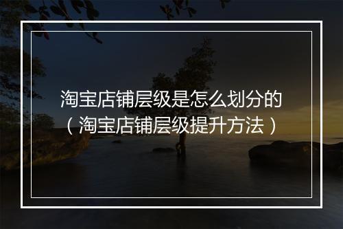 淘宝店铺层级是怎么划分的（淘宝店铺层级提升方法）