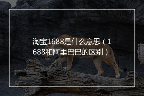 淘宝1688是什么意思（1688和阿里巴巴的区别）