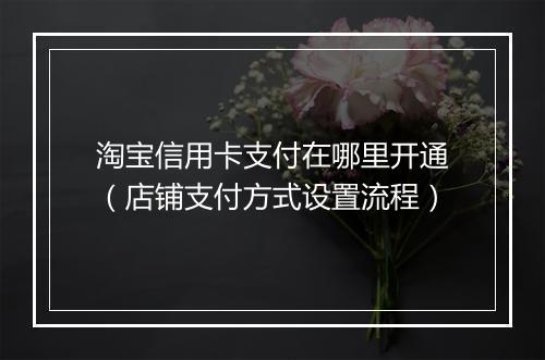 淘宝信用卡支付在哪里开通（店铺支付方式设置流程）