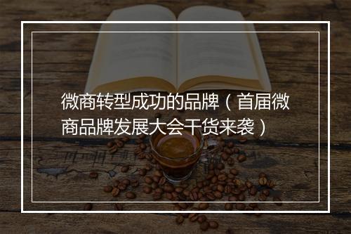 微商转型成功的品牌（首届微商品牌发展大会干货来袭）