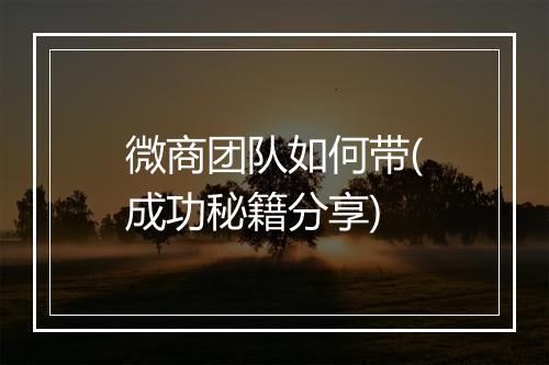 微商团队如何带(成功秘籍分享)