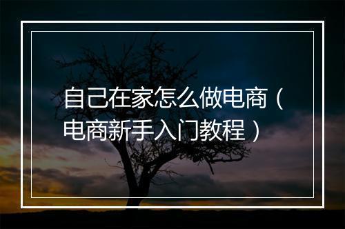 自己在家怎么做电商（电商新手入门教程）