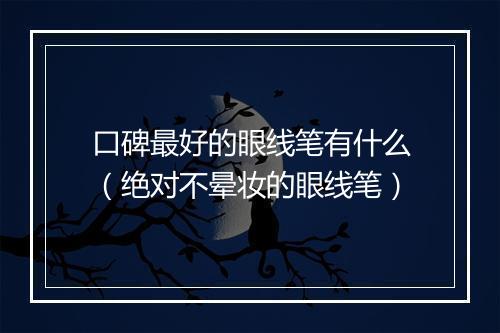 口碑最好的眼线笔有什么（绝对不晕妆的眼线笔）
