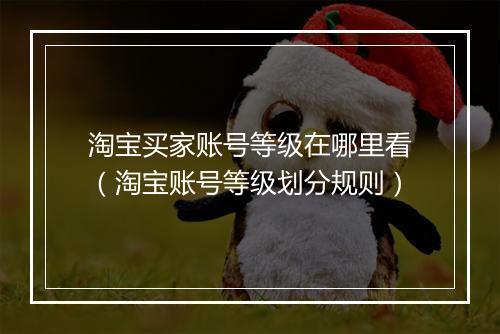 淘宝买家账号等级在哪里看（淘宝账号等级划分规则）