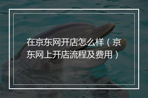 在京东网开店怎么样（京东网上开店流程及费用）