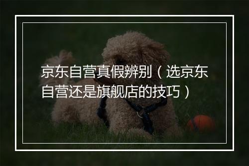 京东自营真假辨别（选京东自营还是旗舰店的技巧）