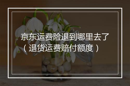 京东运费险退到哪里去了（退货运费赔付额度）