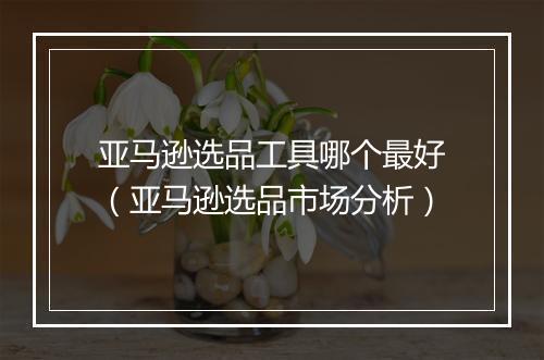 亚马逊选品工具哪个最好（亚马逊选品市场分析）