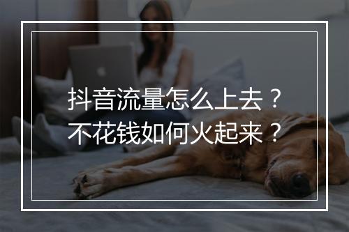 抖音流量怎么上去？不花钱如何火起来？