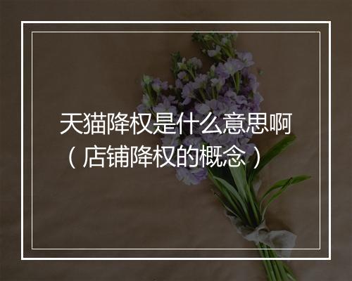 天猫降权是什么意思啊（店铺降权的概念）