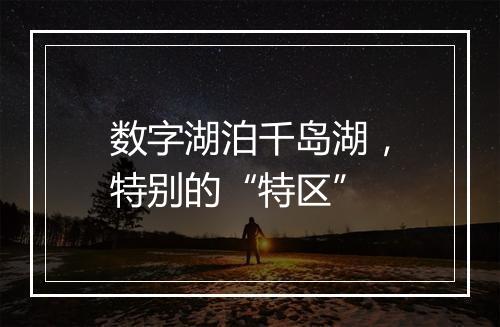 数字湖泊千岛湖，特别的“特区”