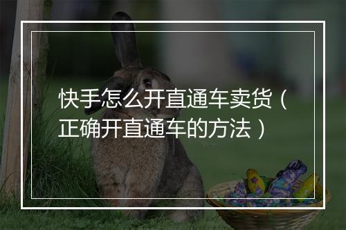 快手怎么开直通车卖货（正确开直通车的方法）