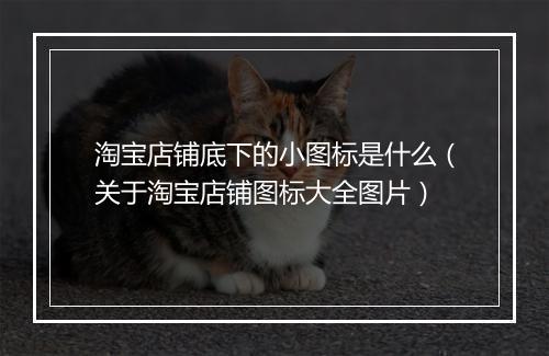 淘宝店铺底下的小图标是什么（关于淘宝店铺图标大全图片）