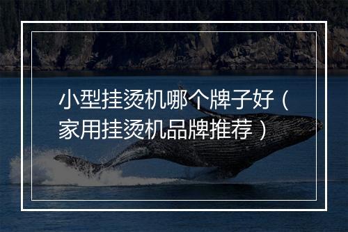 小型挂烫机哪个牌子好（家用挂烫机品牌推荐）