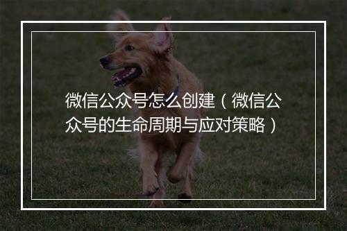 微信公众号怎么创建（微信公众号的生命周期与应对策略）