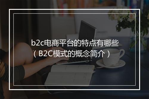 b2c电商平台的特点有哪些（B2C模式的概念简介）