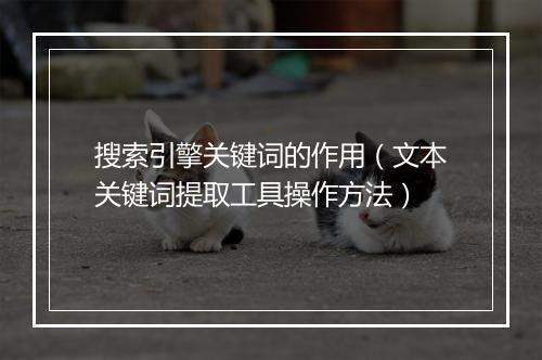 搜索引擎关键词的作用（文本关键词提取工具操作方法）