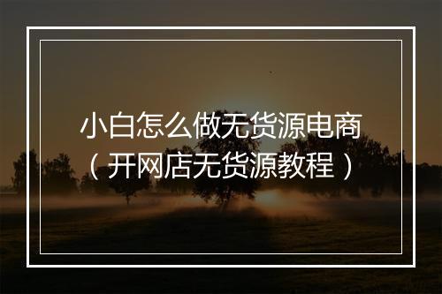 小白怎么做无货源电商（开网店无货源教程）