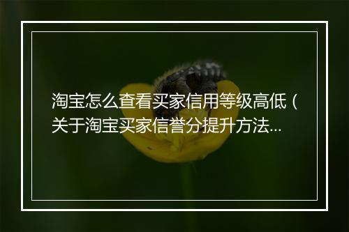 淘宝怎么查看买家信用等级高低（关于淘宝买家信誉分提升方法）